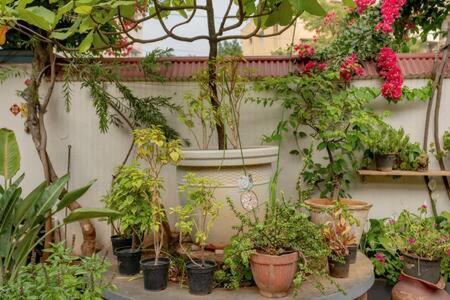 Eden Garden Villa By Jadecaps Nr Mg Road Garden Bangalore Exterior foto